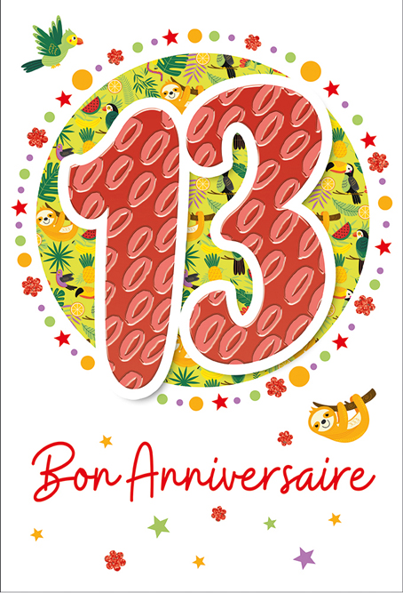 Carte Anniv. 13 ans